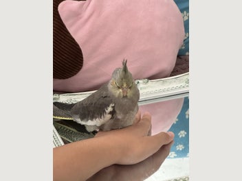 Image 1 of 8