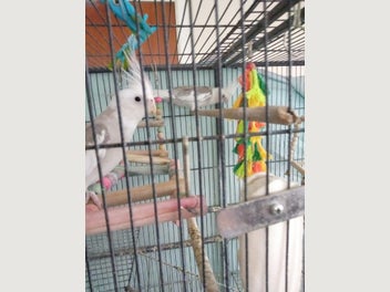 Image 1 of 2