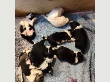 Image 1 of 8
