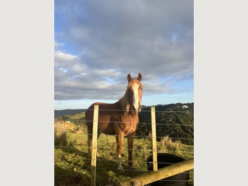 Image 1 of 6