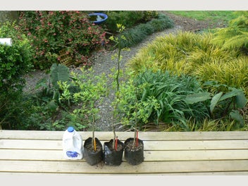 Image 1 of 10