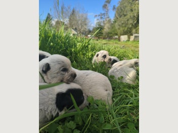 Image 1 of 18