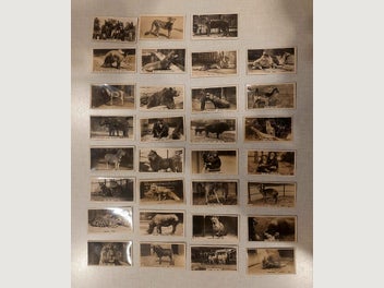 Image 1 of 14
