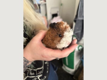 Image 1 of 10