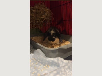 Image 1 of 5