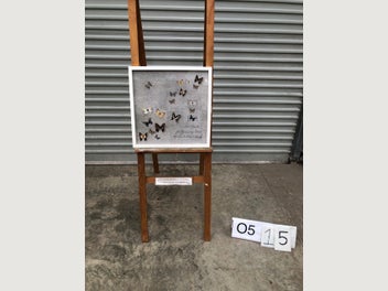 Image 1 of 16