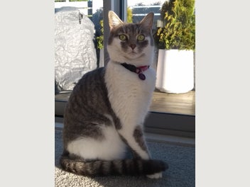 Image 1 of 5