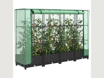 Image 1 of 10