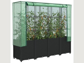 Image 1 of 10