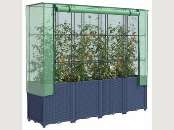 Image 1 of 10