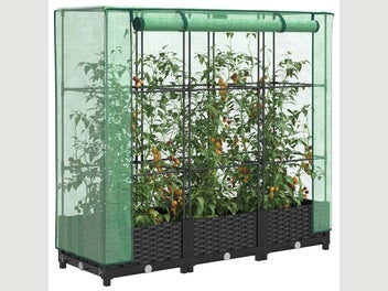 Image 1 of 10