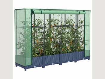 Image 1 of 10