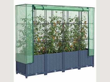Image 1 of 10