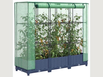 Image 1 of 10