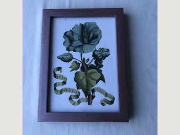 Image 1 of 11