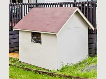 Image 1 of 5