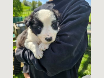 Image 1 of 8