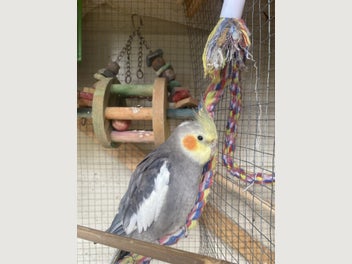 Image 1 of 2