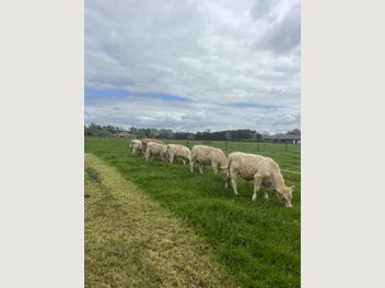 Image 1 of 6
