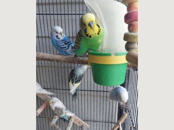 Image 1 of 7