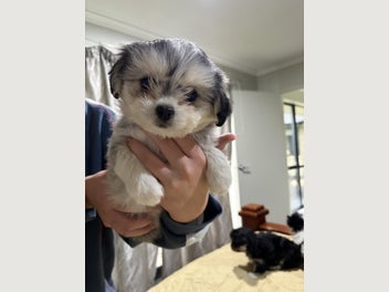 Image 1 of 16