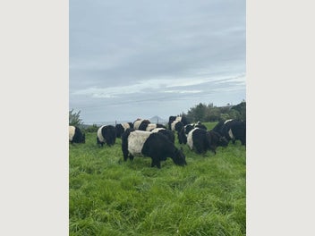 Image 1 of 10
