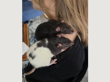 Image 1 of 8