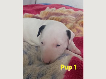 Image 1 of 20