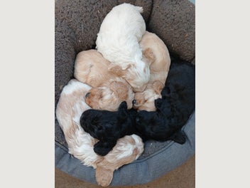 Image 1 of 18