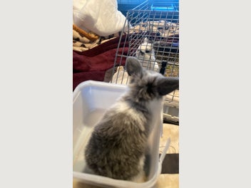 Image 1 of 8