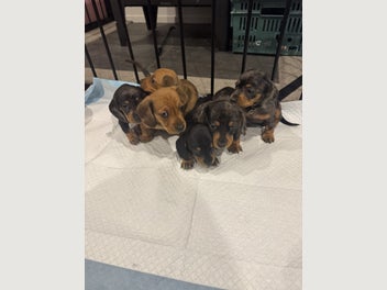 Image 1 of 10