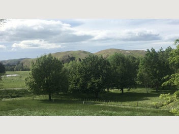 Image 1 of 14