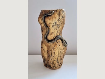 Image 1 of 7