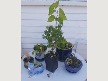 Image 1 of 4