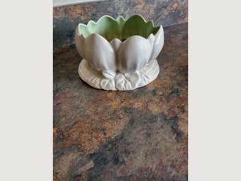 Image 1 of 7