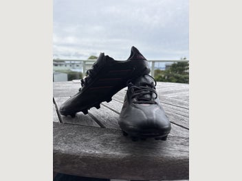 Image 1 of 7