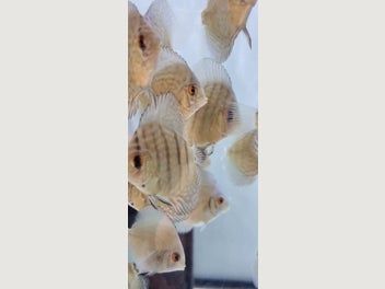Image 1 of 16