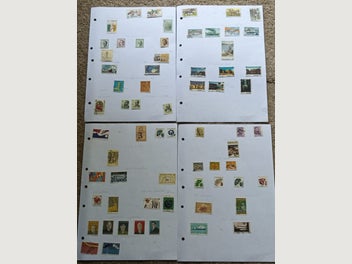 Image 1 of 5