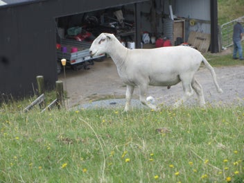 Image 1 of 6
