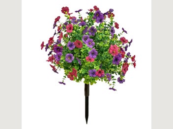 Image 1 of 7