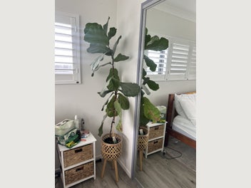 Image 1 of 5
