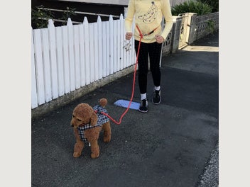 Image 1 of 7