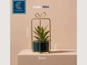 Image 1 of 13