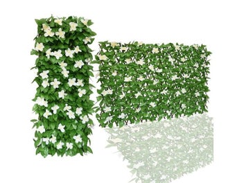 Image 1 of 10