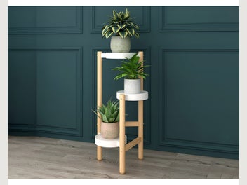 Image 1 of 7
