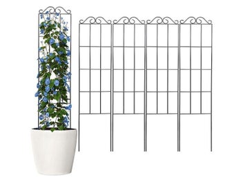 Image 1 of 8