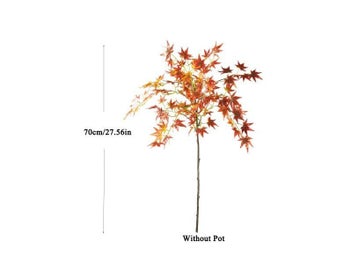 Image 1 of 9