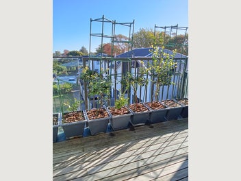 Image 1 of 9