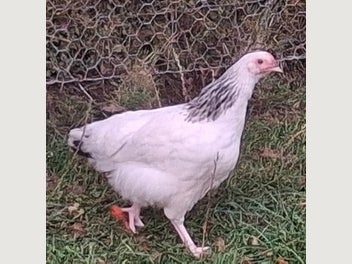 Image 1 of 8