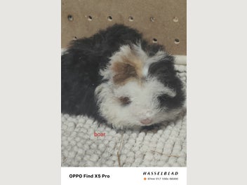 Image 1 of 9